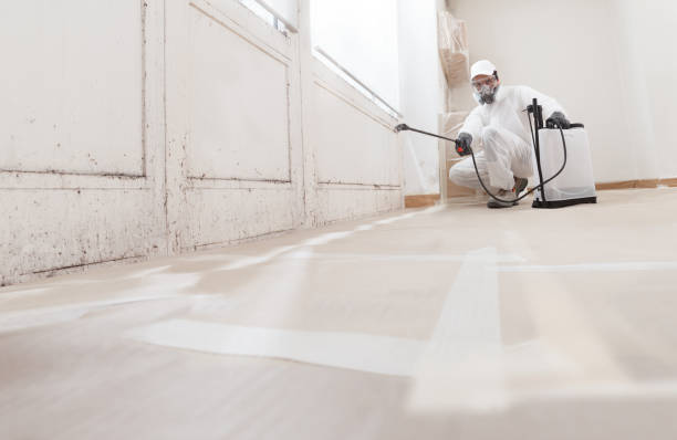 24/7 Emergency Basement Mold Remediation experts in Palmyra, PA